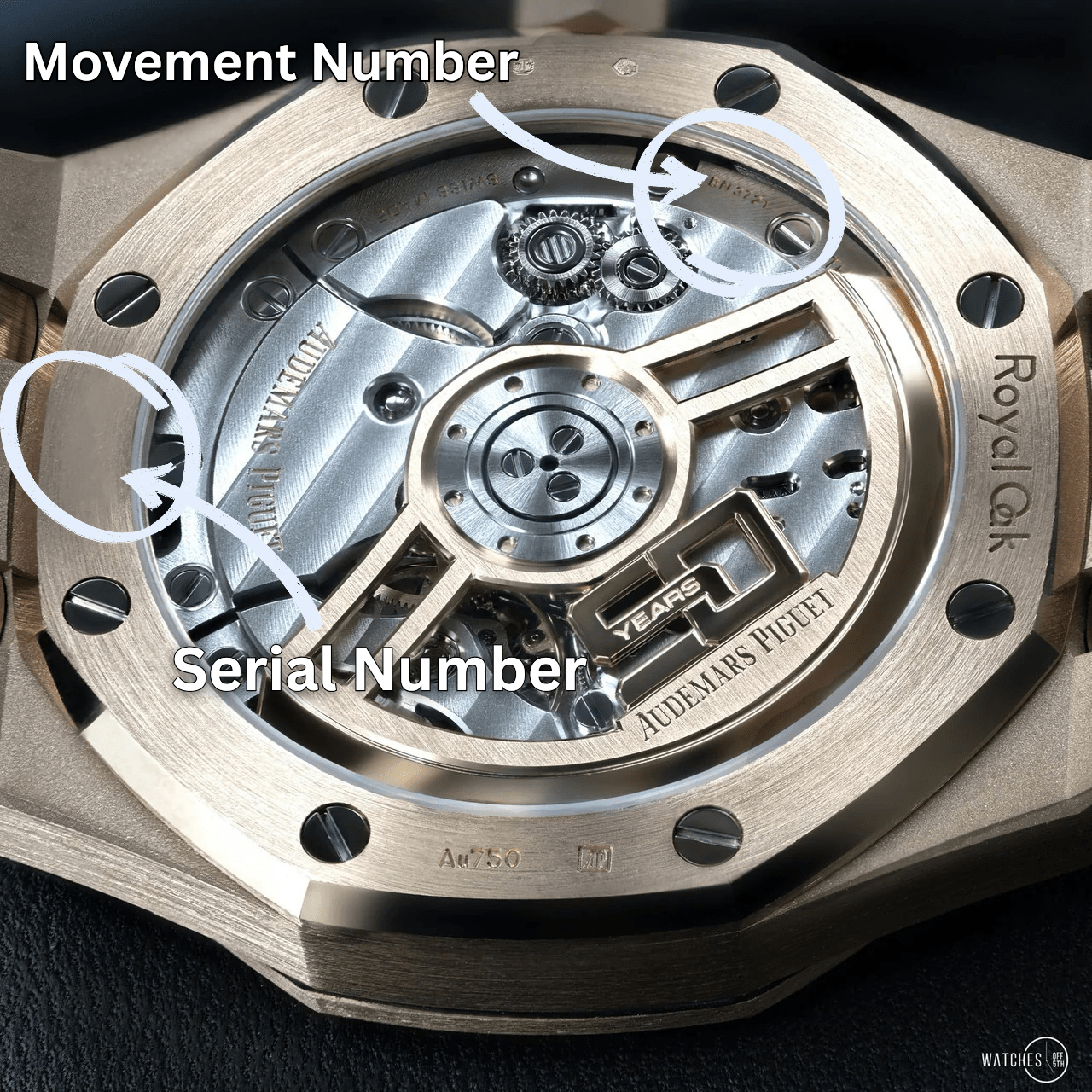 Guide To Audemars Piguet Serial Numbers - WatchesOff5th