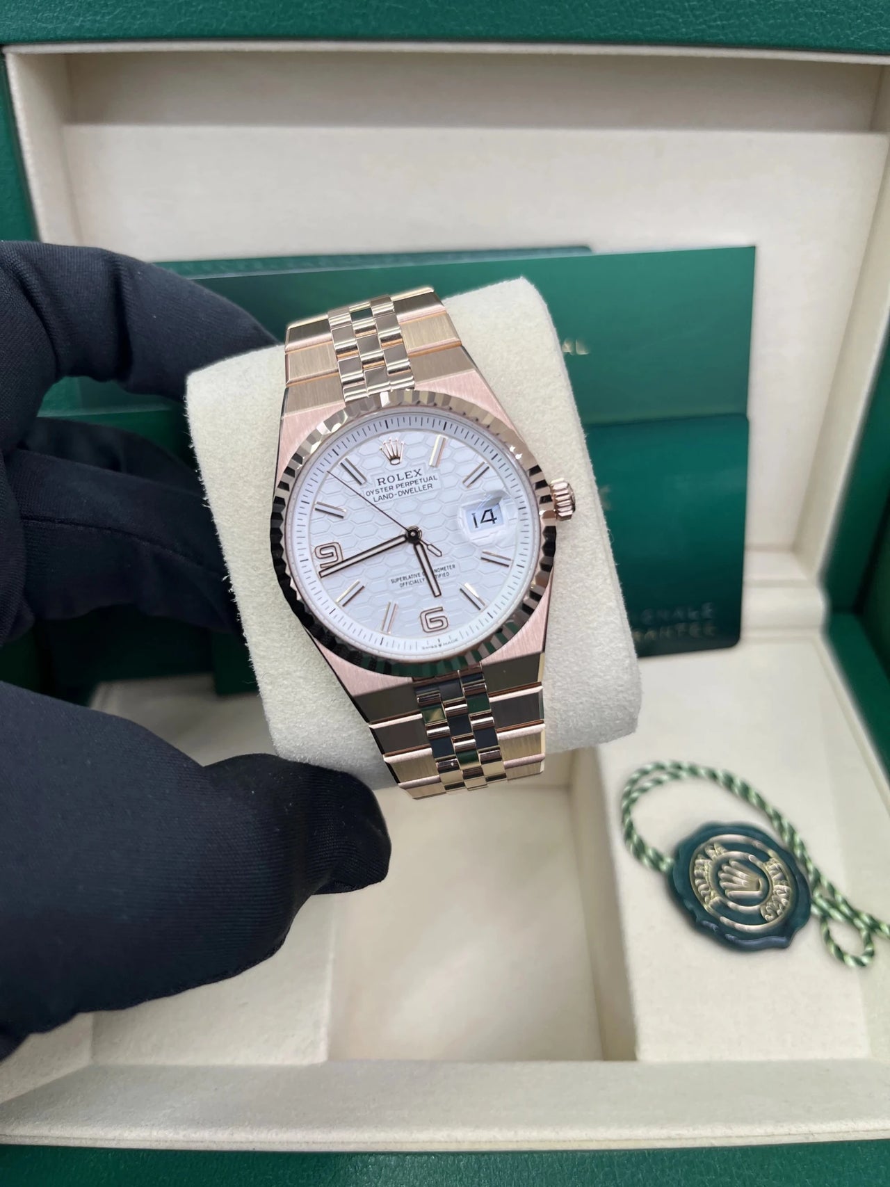 Rolex Land - Dweller 36 Everose Gold White Honeycomb Dial Ref. 127235 - WatchesOff5thWristwatch