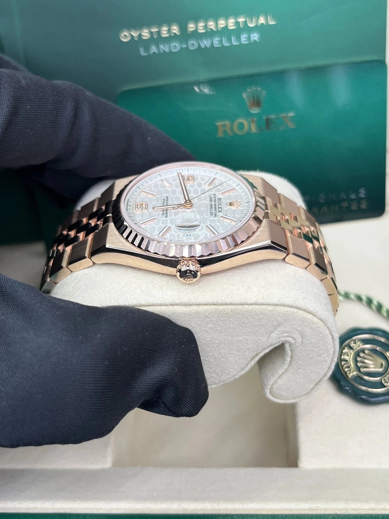 Rolex Land - Dweller 36 Everose Gold White Honeycomb Dial Ref. 127235 - WatchesOff5thWristwatch