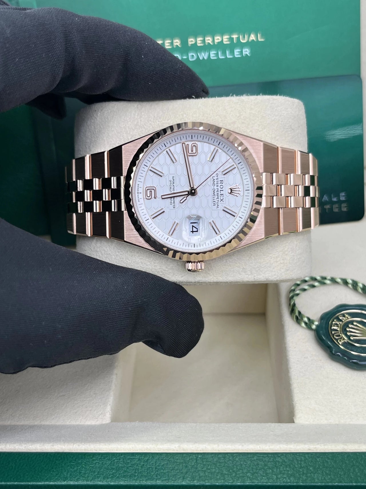 Rolex Land - Dweller 36 Everose Gold White Honeycomb Dial Ref. 127235 - WatchesOff5thWristwatch
