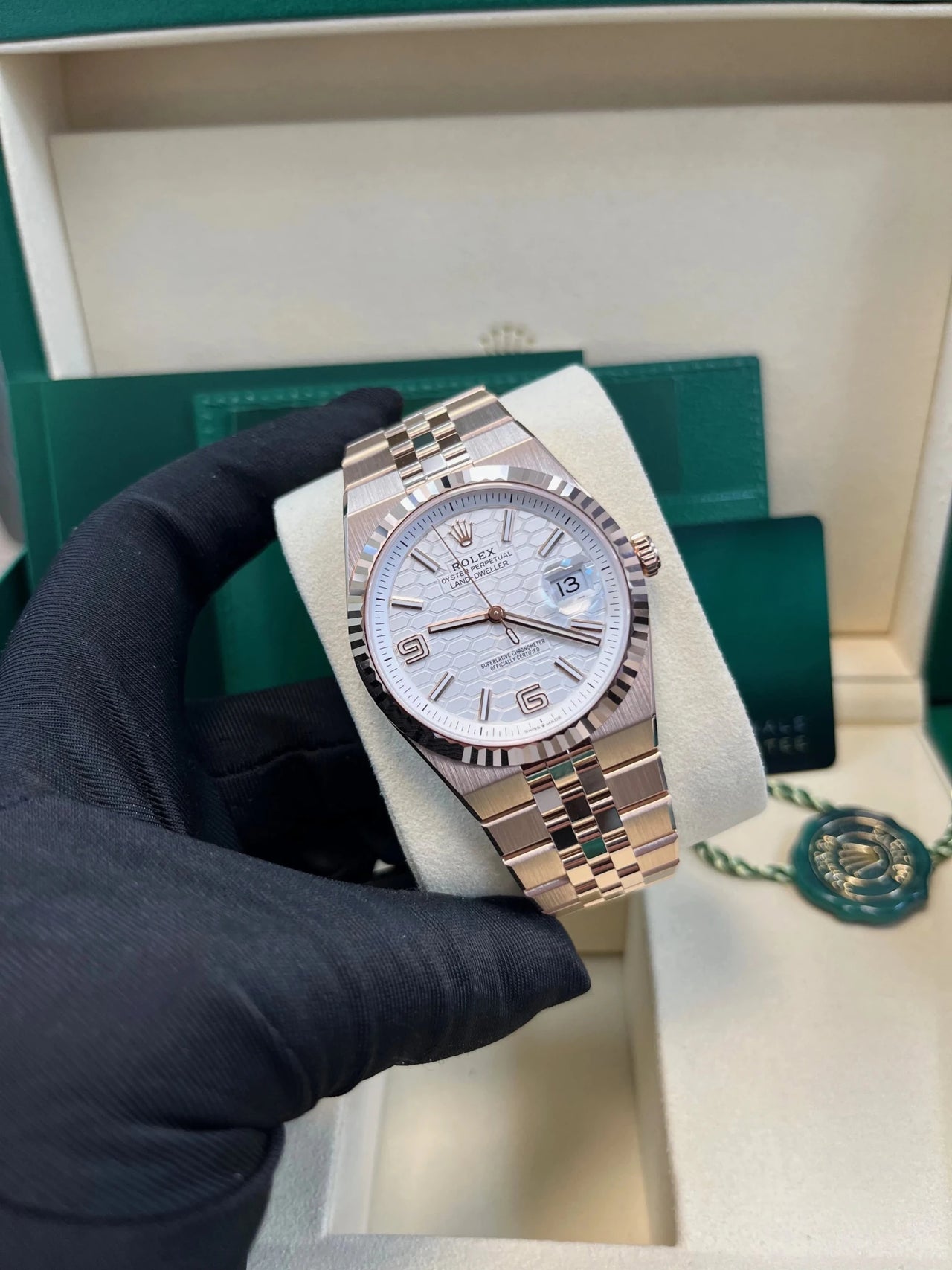 Rolex Land - Dweller New 2025 Release 127335 Rose Gold Land Dweller 40mm White Dial 127335 - WatchesOff5thWatch