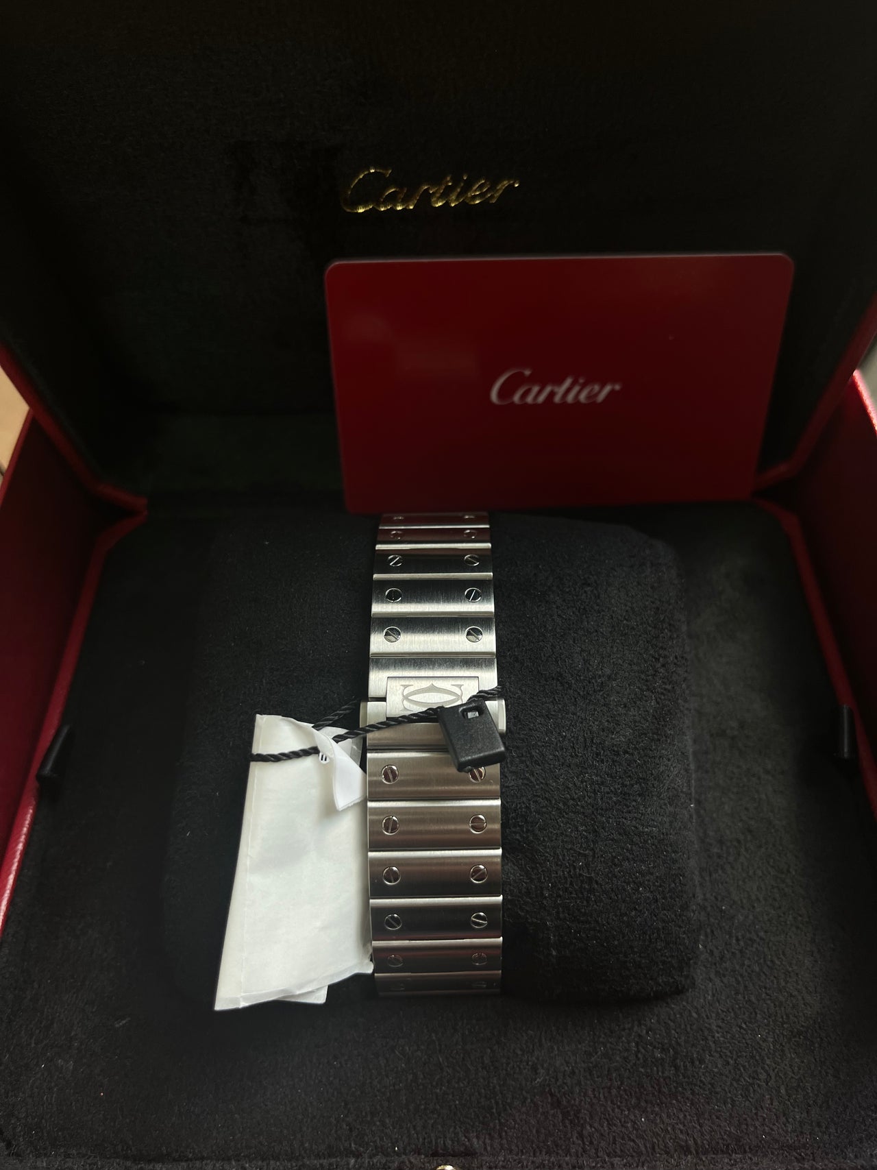 Cartier Santos De Cartier WSSA0030