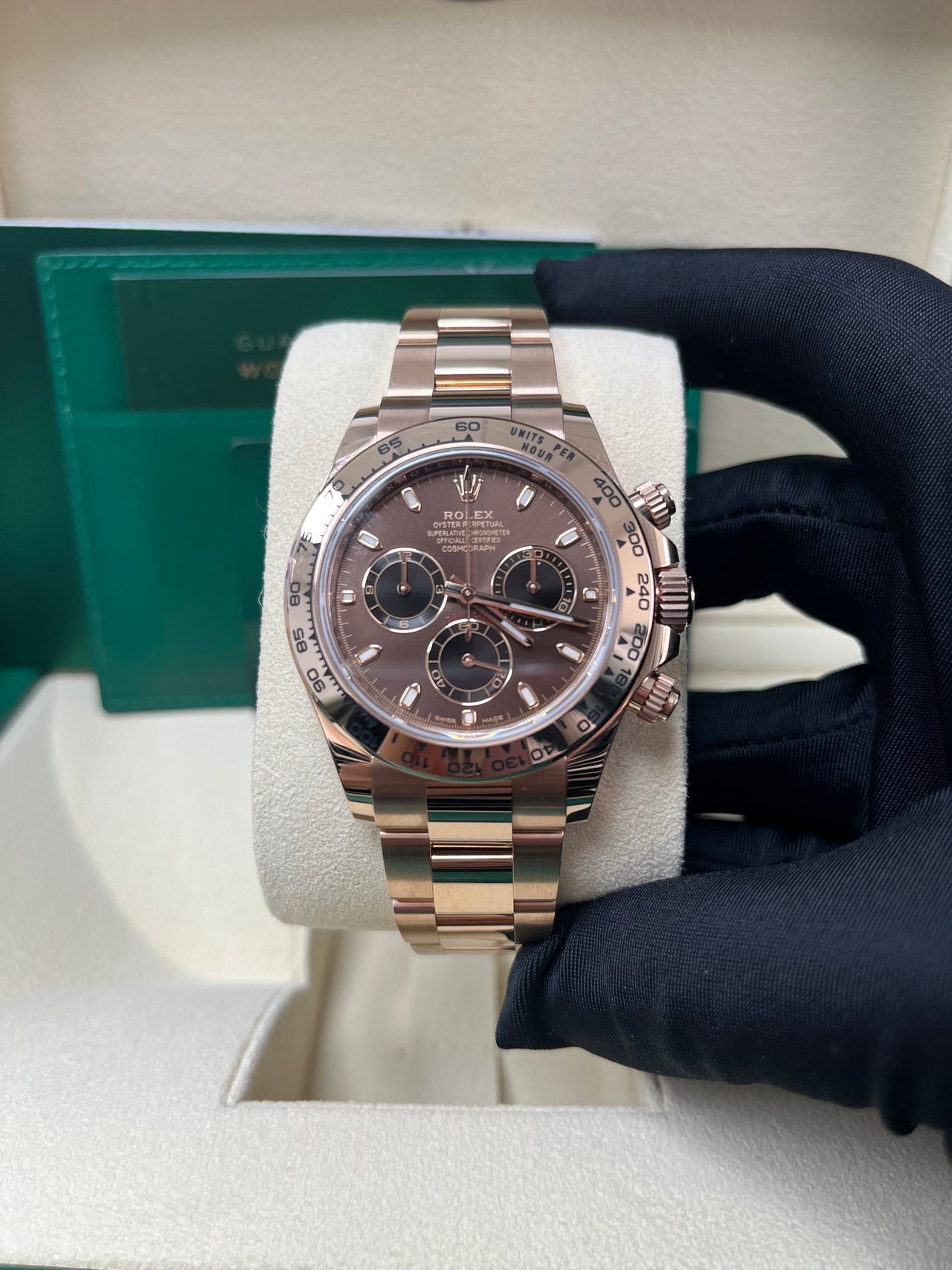 Rolex Everose Gold Cosmograph Daytona 40 Watch - Chocolate and Black Index Dial (Ref # 116505 )